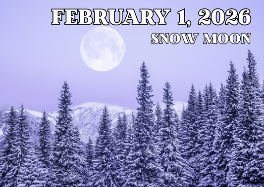 Moon Medicine: February 2026