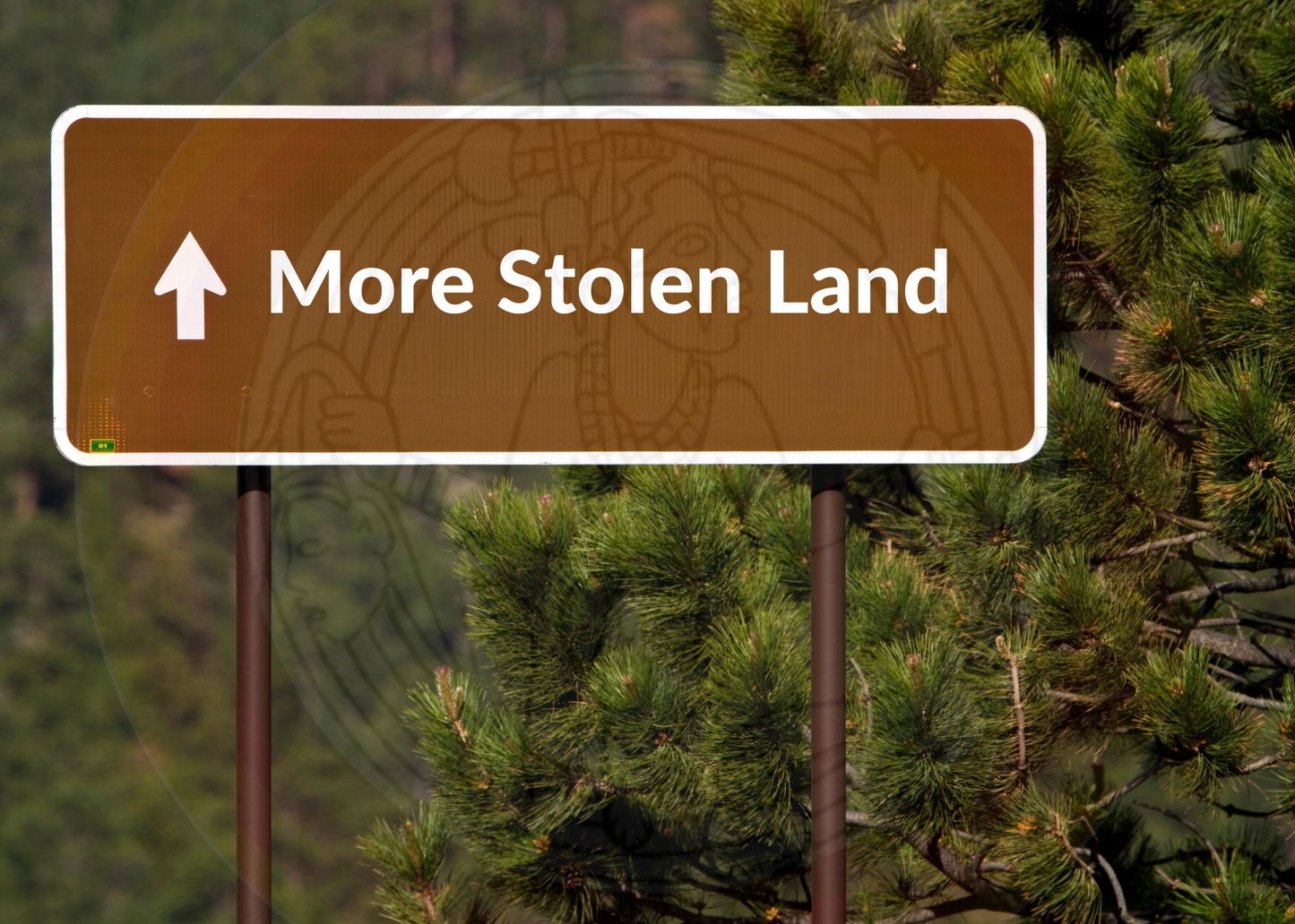 Unsettling America! - Postcards from the Stolen Land Service